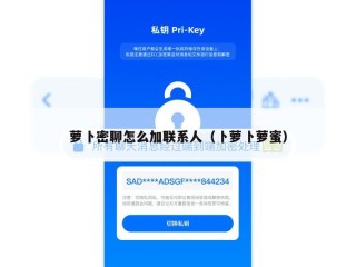 萝卜密聊怎么加联系人（卜萝卜萝蜜）