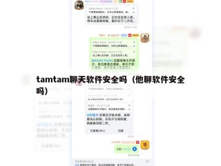 tamtam聊天软件安全吗（他聊软件安全吗）