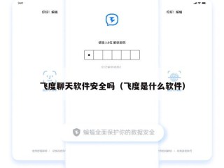 飞度聊天软件安全吗（飞度是什么软件）