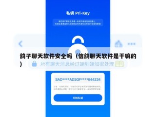 鸽子聊天软件安全吗（信鸽聊天软件是干嘛的）