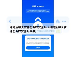 绿鳄鱼聊天软件怎么样安全吗（绿鳄鱼聊天软件怎么样安全吗苹果）