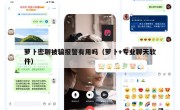 萝卜密聊被骗报警有用吗（萝卜+专业聊天软件）
