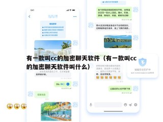 有一款叫cc的加密聊天软件（有一款叫cc的加密聊天软件叫什么）