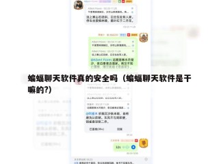 蝙蝠聊天软件真的安全吗（蝙蝠聊天软件是干嘛的?）