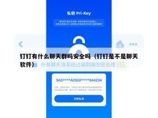 钉钉有什么聊天群吗安全吗（钉钉是不是聊天软件）