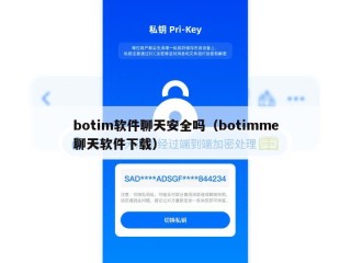 botim软件聊天安全吗（botimme聊天软件下载）