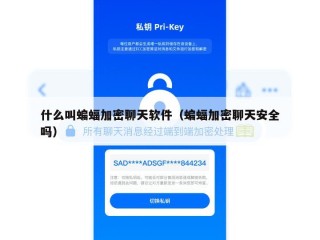 什么叫蝙蝠加密聊天软件（蝙蝠加密聊天安全吗）