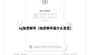 eg加密聊天（加密聊天是什么意思）