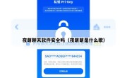 夜萌聊天软件安全吗（夜萌萌是什么歌）