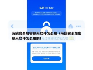海鸥安全加密聊天软件怎么用（海鸥安全加密聊天软件怎么用的）