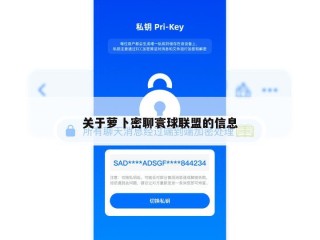关于萝卜密聊寰球联盟的信息
