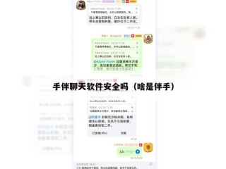 手伴聊天软件安全吗（啥是伴手）