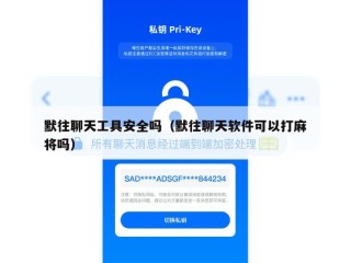 默往聊天工具安全吗（默往聊天软件可以打麻将吗）