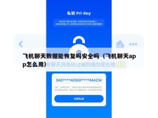 飞机聊天数据能恢复吗安全吗（飞机聊天app怎么用）