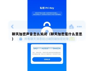 聊天加密声音怎么关闭（聊天加密是什么意思）