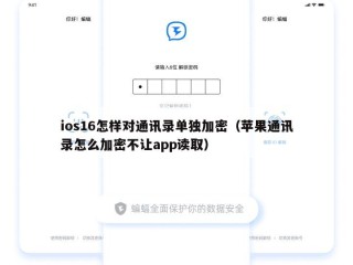 ios16怎样对通讯录单独加密（苹果通讯录怎么加密不让app读取）