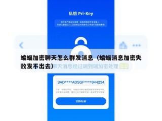 蝙蝠加密聊天怎么群发消息（蝙蝠消息加密失败发不出去）