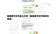 蝙蝠聊天软件怎么引粉（蝙蝠聊天软件瞬间在哪里）