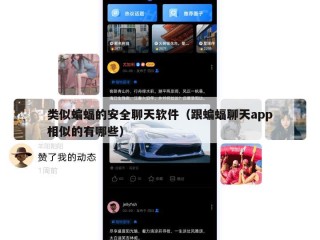 类似蝙蝠的安全聊天软件（跟蝙蝠聊天app相似的有哪些）