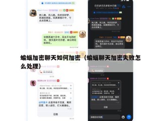 蝙蝠加密聊天如何加密（蝙蝠聊天加密失败怎么处理）
