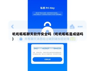 叽叽呱呱聊天软件安全吗（叽叽呱呱是成语吗）