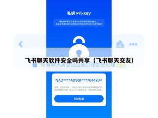 飞书聊天软件安全吗共享（飞书聊天交友）
