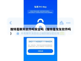 推特是聊天软件吗安全吗（推特是交友软件吗）