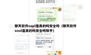 聊天软件soul是真的吗安全吗（聊天软件soul是真的吗安全吗知乎）