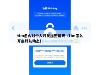 tim怎么对个人好友加密聊天（tim怎么开启好友动态）