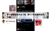 萝卜密聊百科大全下载（萝卜+专业聊天软件下载）
