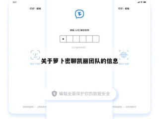 关于萝卜密聊凯丽团队的信息