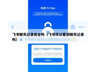 飞书聊天记录安全吗（飞书可以看到聊天记录吗）