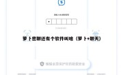 萝卜密聊还有个软件叫啥（萝卜+聊天）