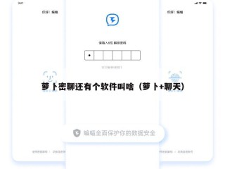 萝卜密聊还有个软件叫啥（萝卜+聊天）