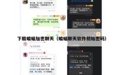 下载蝙蝠加密聊天（蝙蝠聊天软件初始密码）