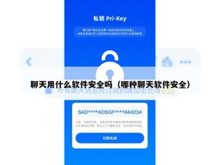 聊天用什么软件安全吗（哪种聊天软件安全）