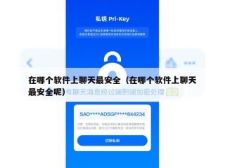 在哪个软件上聊天最安全（在哪个软件上聊天最安全呢）