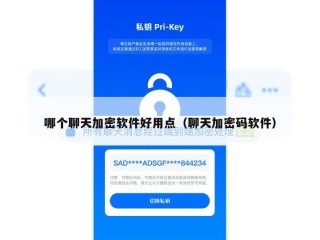 哪个聊天加密软件好用点（聊天加密码软件）