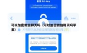 可以加密微信聊天吗（可以加密微信聊天吗苹果）