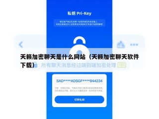 天籁加密聊天是什么网站（天籁加密聊天软件下载）