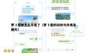 萝卜密聊怎么不见了（萝卜蜜的功效与作用及图片）