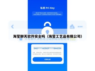 海莹聊天软件安全吗（海莹工艺品有限公司）