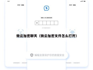 微云加密聊天（微云加密文件怎么打开）