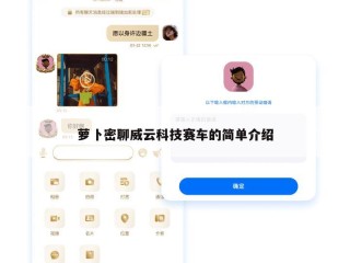 萝卜密聊威云科技赛车的简单介绍