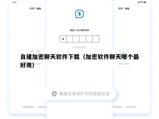 自建加密聊天软件下载（加密软件聊天哪个最好用）