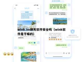 wink.im聊天软件安全吗（wink软件是干嘛的）