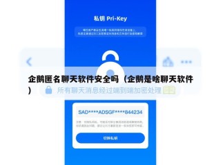 企鹅匿名聊天软件安全吗（企鹅是啥聊天软件）