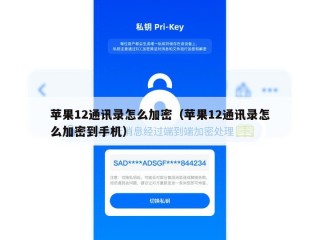 苹果12通讯录怎么加密（苹果12通讯录怎么加密到手机）