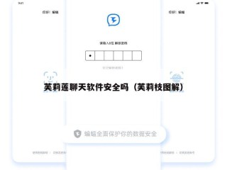 芙莉莲聊天软件安全吗（芙莉枝图解）
