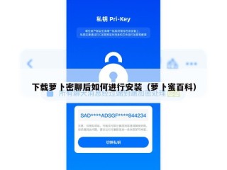 下载萝卜密聊后如何进行安装（萝卜蜜百科）